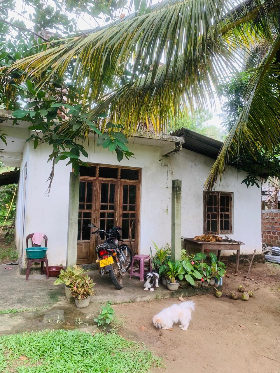 අඩක් නිමකල දෙමහල් නිවස විකිණීමට-කටුපොත - Aduwata Gewal Idam 🏠 අඩුවට ගෙවල් ඉඩම්