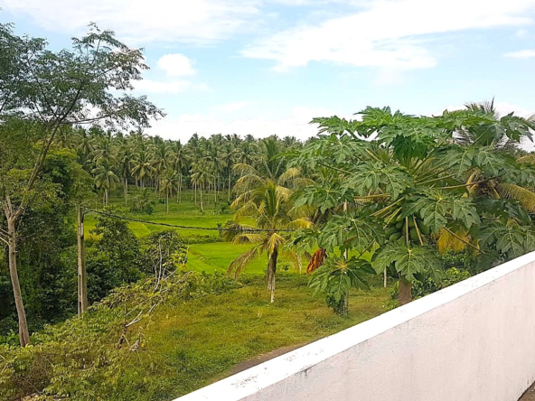 Two-storey house for sale in Homagama near NSBM